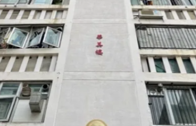 Aberdeen Sampan and Public Housing Estate - Private Tour - Foto 9